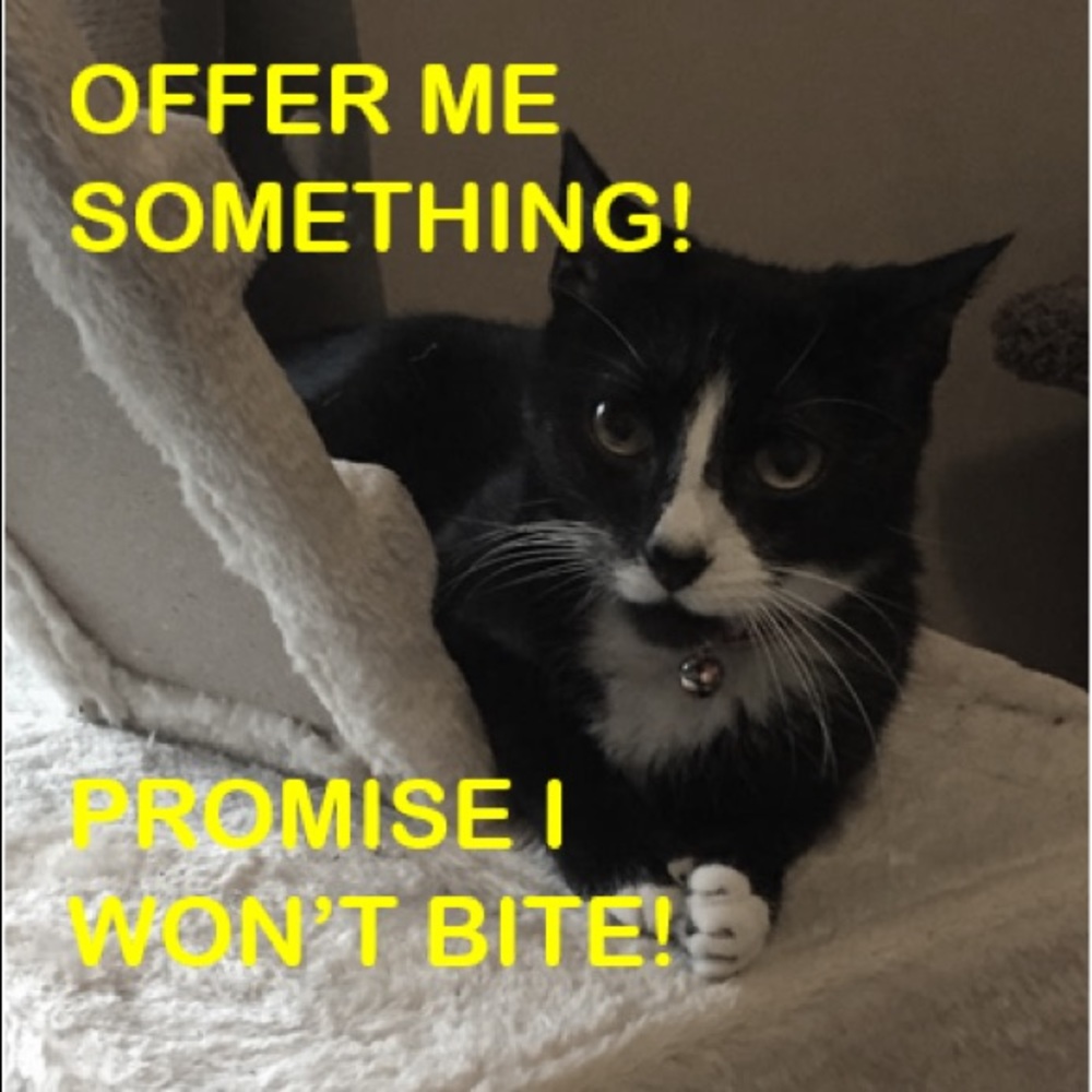 Offers Welcome Here!!!